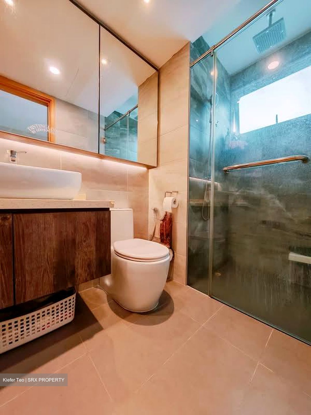 Eight Riversuites (D12), Condominium #564651411